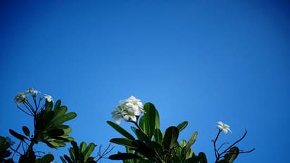 ആ പൂരമല്ല ഈ പൂരം; ഇത് വടക്കിന്‍റെ വസന്തോത്സവം!