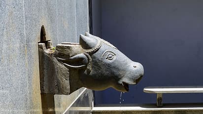 Bengaluru to go thirsty by new year, BWSSB warns