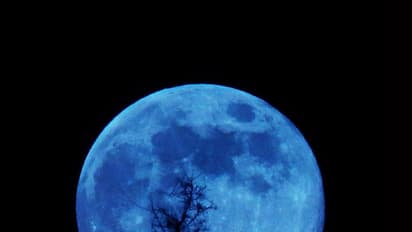 Blue Blood Moon