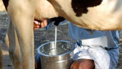 பால் பண்ணை தொடங்கணும்னா இதெல்லாம் கட்டாயம் தெரிந்து வைத்துக் கொள்ளணும்…