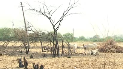 ರಾಜ್ಯದಲ್ಲಿ ಭೀಕರ ಬರಗಾಲ- ಹನಿ ಹನಿ ನೀರಿಗೂ ಹಾಹಾಕಾರ!