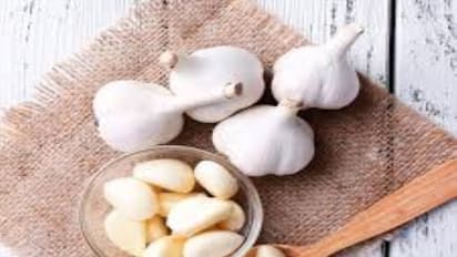 இப்படி பயன்படுத்தினால்தான் பூண்டில் இருக்கும் ஏராளமான மருத்துவ குணங்களை பெற முடியும்... 