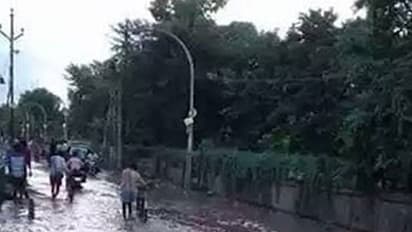 Nitish Kumar Shamed: Rs 389 Crore Dam in Bihar Collapses 24 Hours Before Inauguration