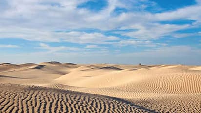 ಹುಲ್ಲುಗಾವಲಾಗಿದ್ದ ಸಹರಾ ಮರುಭೂಮಿ