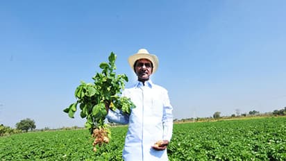 A mega storm brews in KCR's 'paradise'