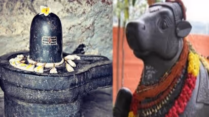 29 ஆம் தேதி...! மாபெரும் "பிரதோஷம்"..! பல ஆண்டுக்கு பின் ...இதை மறக்காம செய்துடுங்க...