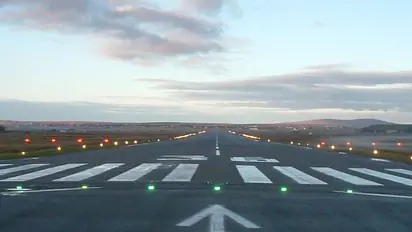 IAF transport plane AN-32 overruns runway; no damage done