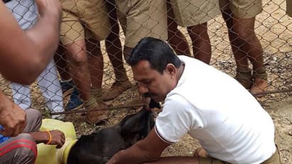 കുടത്തില് കുടുങ്ങിയ നായയ്ക്ക് രക്ഷകരായി പോലീസുകാര്