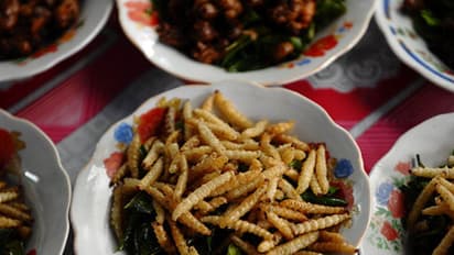 Karnataka markets will soon have silkworm food and cosmetics