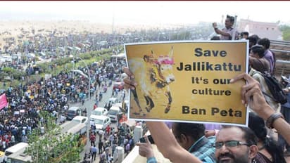 ಜಲ್ಲಿಕಟ್ಟು ಪ್ರತಿಭಟನೆ: ರಜನೀಕಾಂತ್ ಎಂಟ್ರಿ; ಜನರ ಪರ ಒಂದಾಯ್ತು ಇಡೀ ತಮಿಳುನಾಡು ಚಿತ್ರರಂಗ