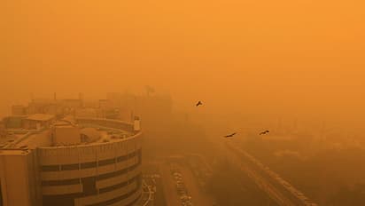 Air pollution: NGT bans construction, waste burning in Delhi