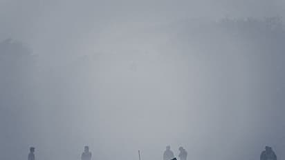 Toxic air in Delhi will affect economy, labour force: ASSOCHAM