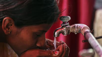 City researchers develop TamRas to fight diarrhoea