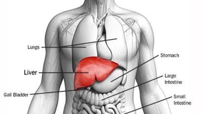 உங்கள் கல்லீரல் நலமாக இருக்கிறதா என்பதை இவற்றை வைத்து கண்டுபிடித்து விடலாம் - டிரை பண்ணுங்க...