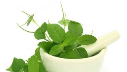 இந்த மாதிரியான பிரச்சனைகளுக்கு துளசி தான் சிறந்த மருந்து…