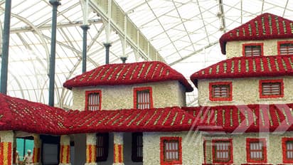 Sea of crowd throng Lalbagh flower show