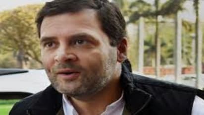 ராகுல் காந்திக்கு விரைவில் திருமணம்