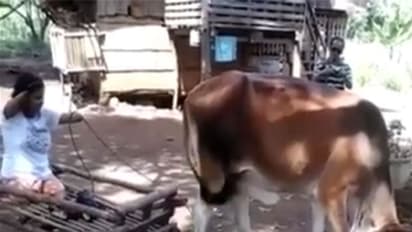 ವೈರಲ್ ಆಯ್ತು ಅಂಗವಿಕಲೆ ಮತ್ತು ಬಸವನ ಸಂಬಂಧದ ಈ ವೀಡಿಯೋ