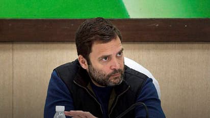 ರಾಹುಲ್ ಗಾಂಧಿ ಯುವ ಟೀಂನಲ್ಲಿ ಏಕೈಕ ಕನ್ನಡಿಗ ಈ ಕ್ರಿಕೆಟ್ ಪಟು