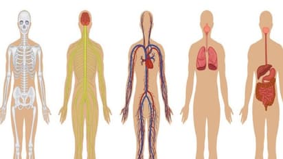 இந்த உடல் உறுப்புகளுக்கு இந்த உணவுகளைச் சாப்பிட்டால் ரொம்ப நல்லது…