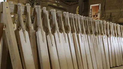 Will bamboo bats be used in cricket? Here's what MCC has to say