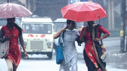 வெரிகுட் நியூஸ்....எல்-நினோ பாதிப்பு குறையுதாம்… பருவமழை கொட்டோகொட்டுனு கொட்டப்போகுது’!!!