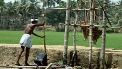 உழவு முதல் அறுவை வரை பயன்படுத்தப்படும் கருவிகள் பற்றி தெரிந்து கொள்ளுங்கள்…