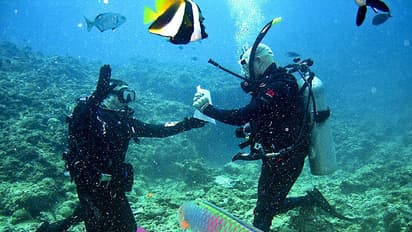 Nods awaited for yoga tours, scuba diving services: Goa Min