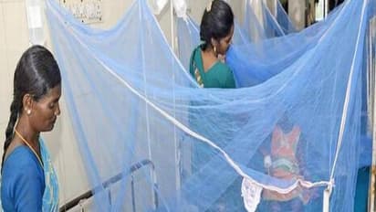 ದಾವಣಗೆರೆ: ಡೆಂಘೀ ವಿರೋಧಿ ಮಾಸಾಚರಣೆ, ಸೊಳ್ಳೆ ಪರದೆ ವಿತರಣೆ