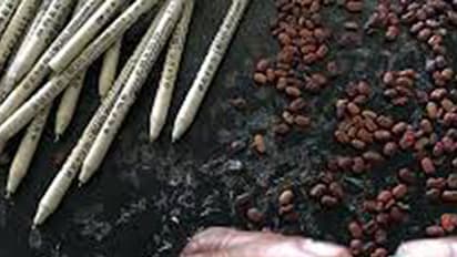 പ്രകൃതി സൗഹൃദത്തിന് വിത്ത് പേനയുമായി ബിഎഡ് വിദ്യാര്ഥികള്