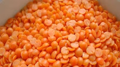 masoor-dal-42273.jpg