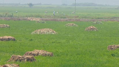 കോട്ടയത്ത് ബക്കറ്റിലാക്കിയ നിലയില്‍ മനുഷ്യ ശരീര ഭാഗങ്ങള്‍; രണ്ടു പേര്‍ അറസ്റ്റില്‍