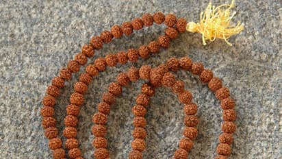 ರುದ್ರಾಕ್ಷಿ ಮಹಿಮೆ ಅಪಾರ, ನೈಜ ಮಣಿಯನ್ನು ಕಂಡು  ಹಿಡಿಯೋದು ಹೇಗೆ?