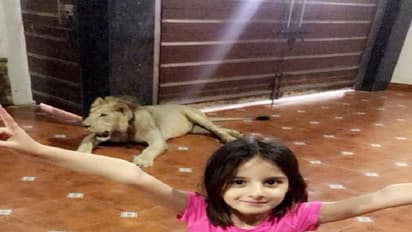 வீட்டில் சிங்கம் வளர்க்கும் கிரிக்கெட் வீரர்!! ரசிகர்கள் அதிர்ச்சி