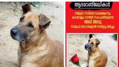 கிராமத்தையே அழவைத்த ஒரு நாயின் மரணம்!?