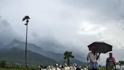 சென்னை உட்பட தமிழகத்தின் பல மாவட்டங்களில் வெளுத்து வாங்கும் மழை…விவசாயிகள், பொது மக்கள் உற்சாகம்….