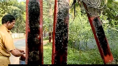 ആക്രമണസാധ്യത തടയാന് കരി ഓയിലും ബ്രഷുമായി പൊലീസ്