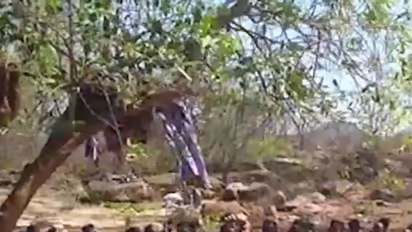 In Didalli repeat, Ramnagara tribals stage nude protest