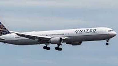 ವಿಮಾನದಲ್ಲಿ ನಾಯಿಮರಿ ಸಾಗಿಸಲು ಹೋಗಿ ಪ್ರಾಣವೇ ಹೋಯ್ತು!