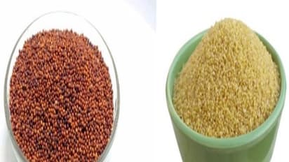 கேழ்வரகு மற்றும் தினையில் அடங்கியுள்ள சத்துகள் ஒரு விசிட்...