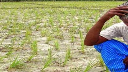 പാലും പച്ചക്കറിയുമെത്തില്ല; സമരവുമായി കര്ഷകര്