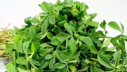 மாரடைப்படை குணமாக்கும் வெந்தயக் கீரையை வேற என்னவெல்லாம் செய்யும்?