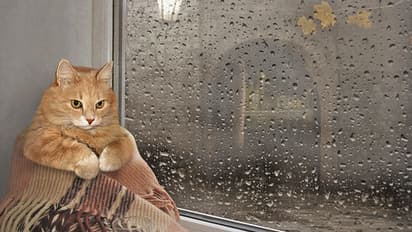 What should you do when the monsoon pushes you indoors?