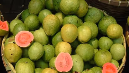 தினமும் ஒரு கொய்யாப்பழம் சாப்பிட்டால் இவ்வளவு அற்புதங்கள் உங்கள் உடலில் நடக்கும்...