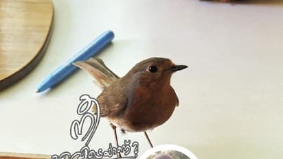 അതെ, നീയൊരു പച്ച മനുഷ്യനായിരുന്നു, ആദില്!