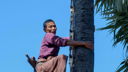 Karnataka: Excise lobby causes hiccups to desi Neera