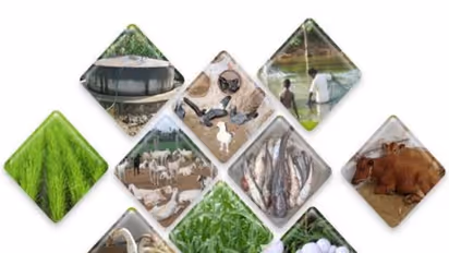 ஒருங்கிணைந்த பண்ணையத்தின் செயல்முறை மற்றும் பயன்கள் இதோ..