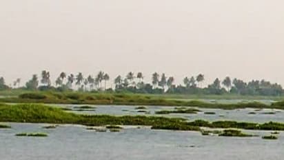 മെത്രാൻ കായൽ നികത്താൻ യുഡിഎഫ് സർക്കാർ നൽകിയ അനുമതി മന്ത്രിസഭ റദ്ദാക്കി