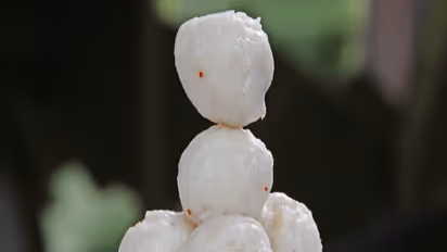 களி,தோசை கூட பிரசாதம் தான்...! எந்த கோவிலில்..என்ன பிரசாதம் தெரியுமா?