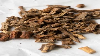 வேர் முதல் இலை வரை அனைத்திலும் மருத்துவத் தன்மை கொண்டது நன்னாரி…